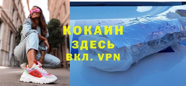 крисы Абаза