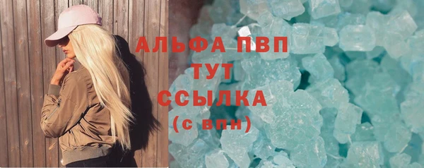 крисы Абаза