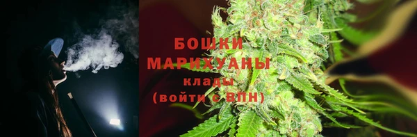 крисы Абаза