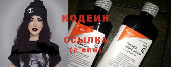 крисы Абаза