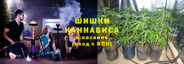 крисы Абаза